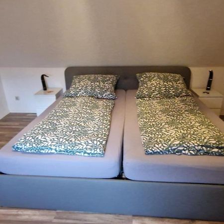 Manu'S Appartements Goslar Ngoại thất bức ảnh